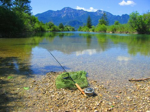 Fly fishing in the black forest region of Germany